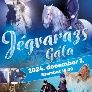 Jégvarázs gála - 2024.12.07.