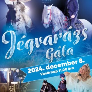 Jégvarázs gála - 2024.12.08. 11:00