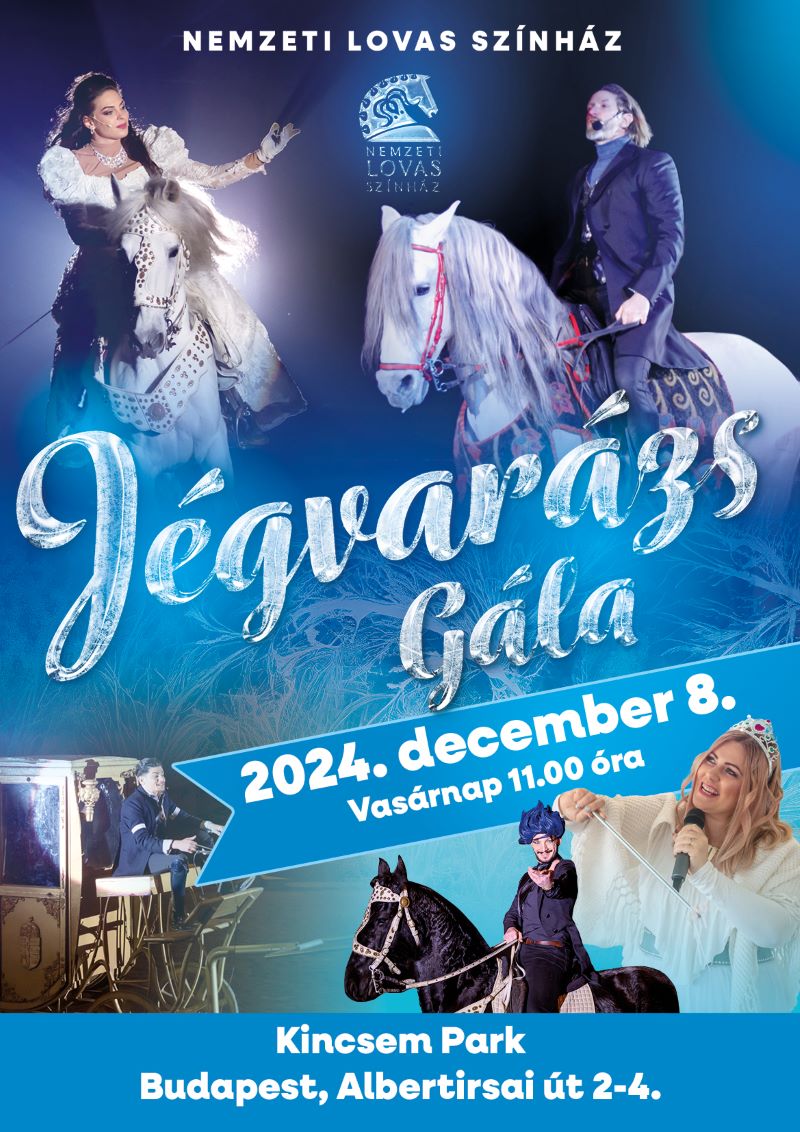 Jégvarázs gála - 2024.12.08. 11:00